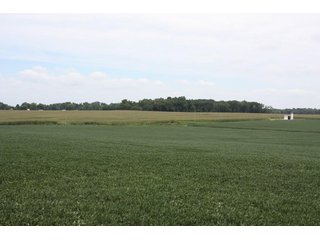 Property photo 52 - LAND AUCTION - 1,193+/- ACRES IN 14 TRACTS IN PIKE & GIBSON COUNTY, INDIANA